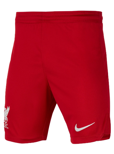 Dri-FIT Liverpool FC 2023/24 Shorts