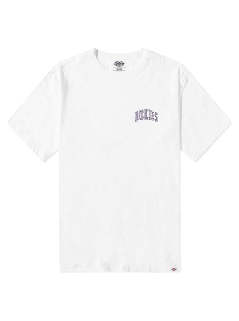 Dickies Aitkin Chest Logo Tee DK0A4Y8OWHX1