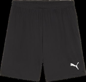 Puma teamGOAL Shorts 705752-03